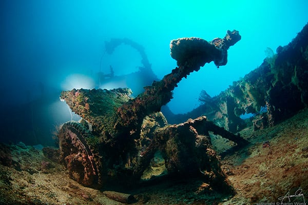 A gun on the Nippo Maru