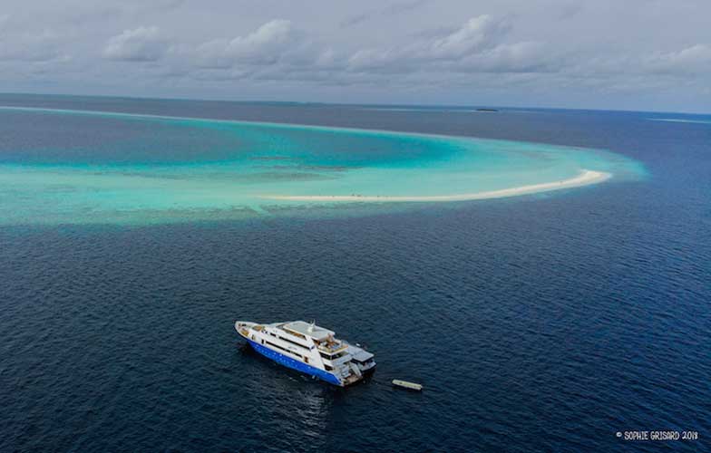 Maldives Master