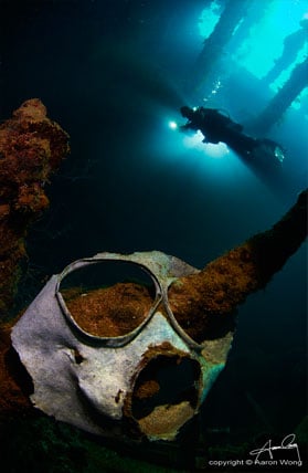 WWII remains inside a wreck in Truk Lagoon