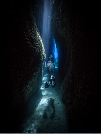 Diving Leru Cut.
