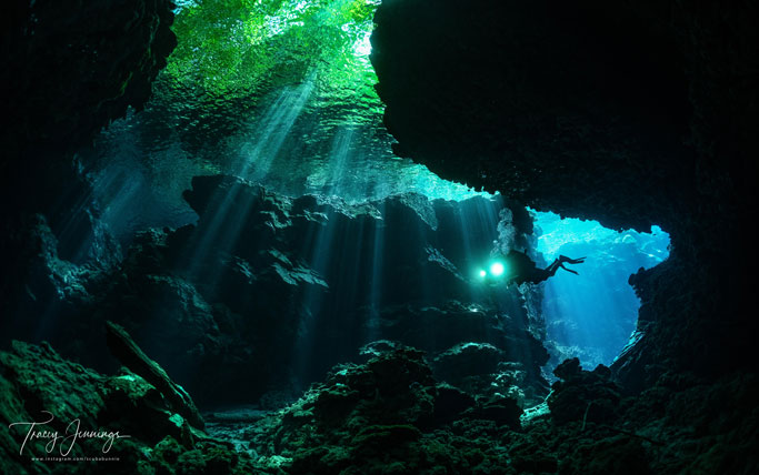 Diver diving Mirror Pond.