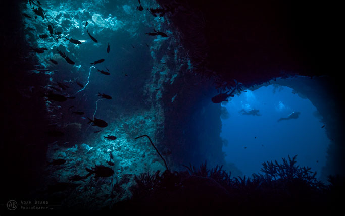 Diving Twin Tunnels